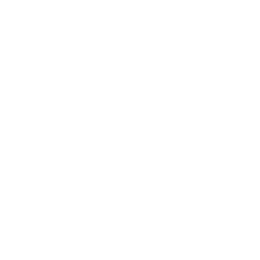 Service Execution Service Execution