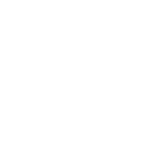 Customer Experience Customer Experience