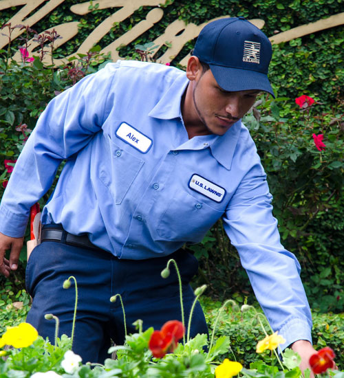 U.S. Lawns staff picking plants at landscape