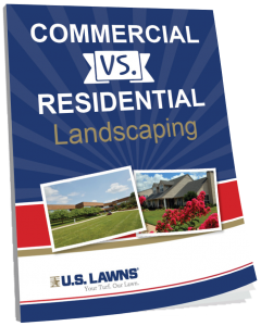 Commercial vs. Residential Landscaping