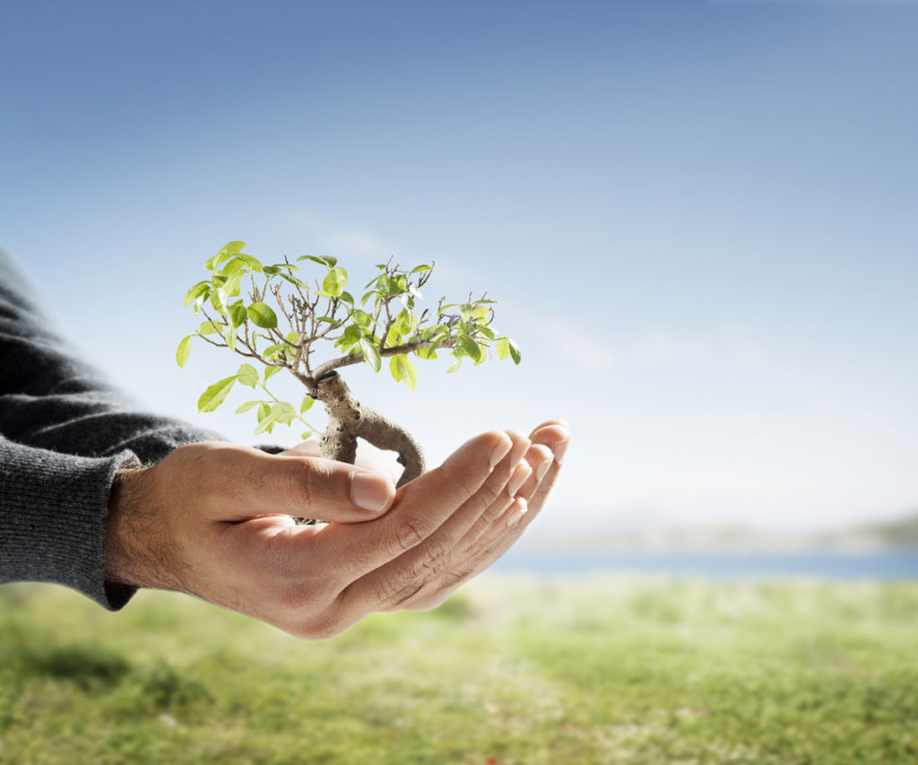 owner operator franchise model